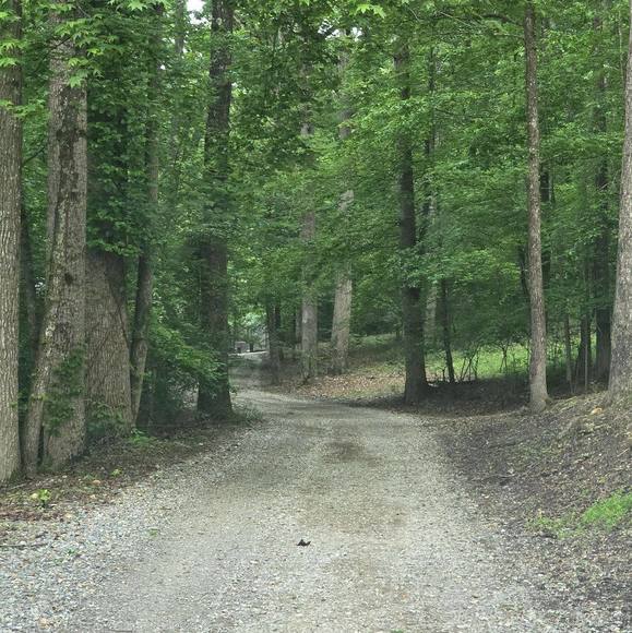 Meet your Posher, Angel - Picture 1 of 1